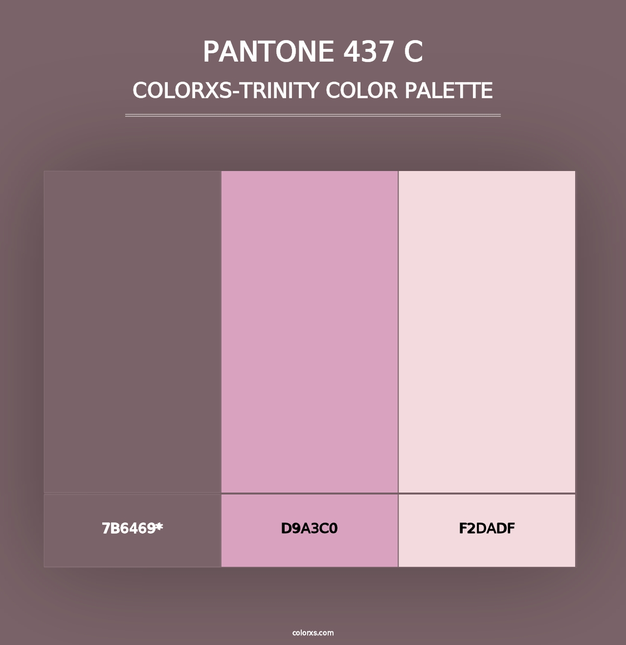 PANTONE 437 C - Colorxs Trinity Palette