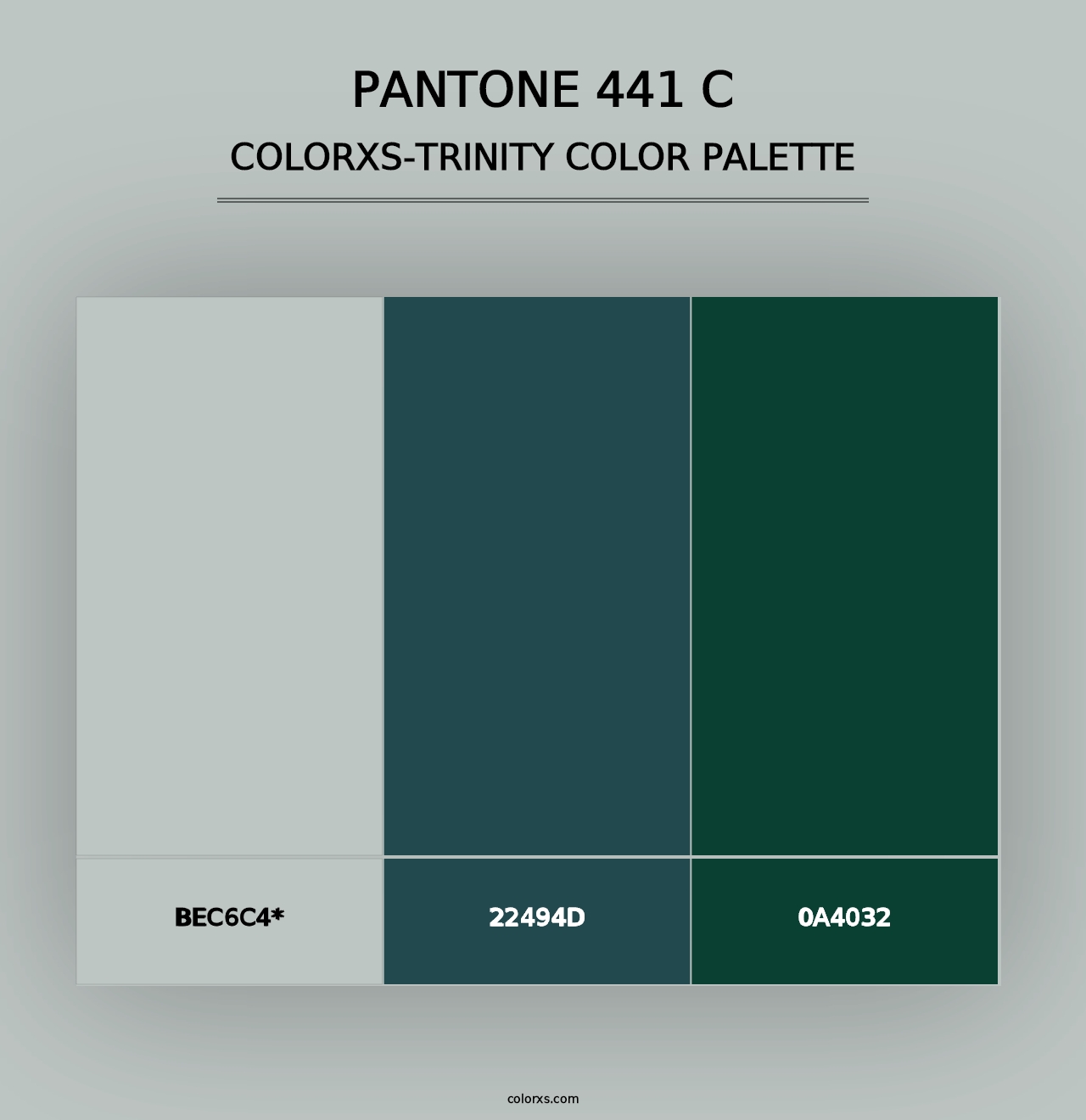 PANTONE 441 C - Colorxs Trinity Palette