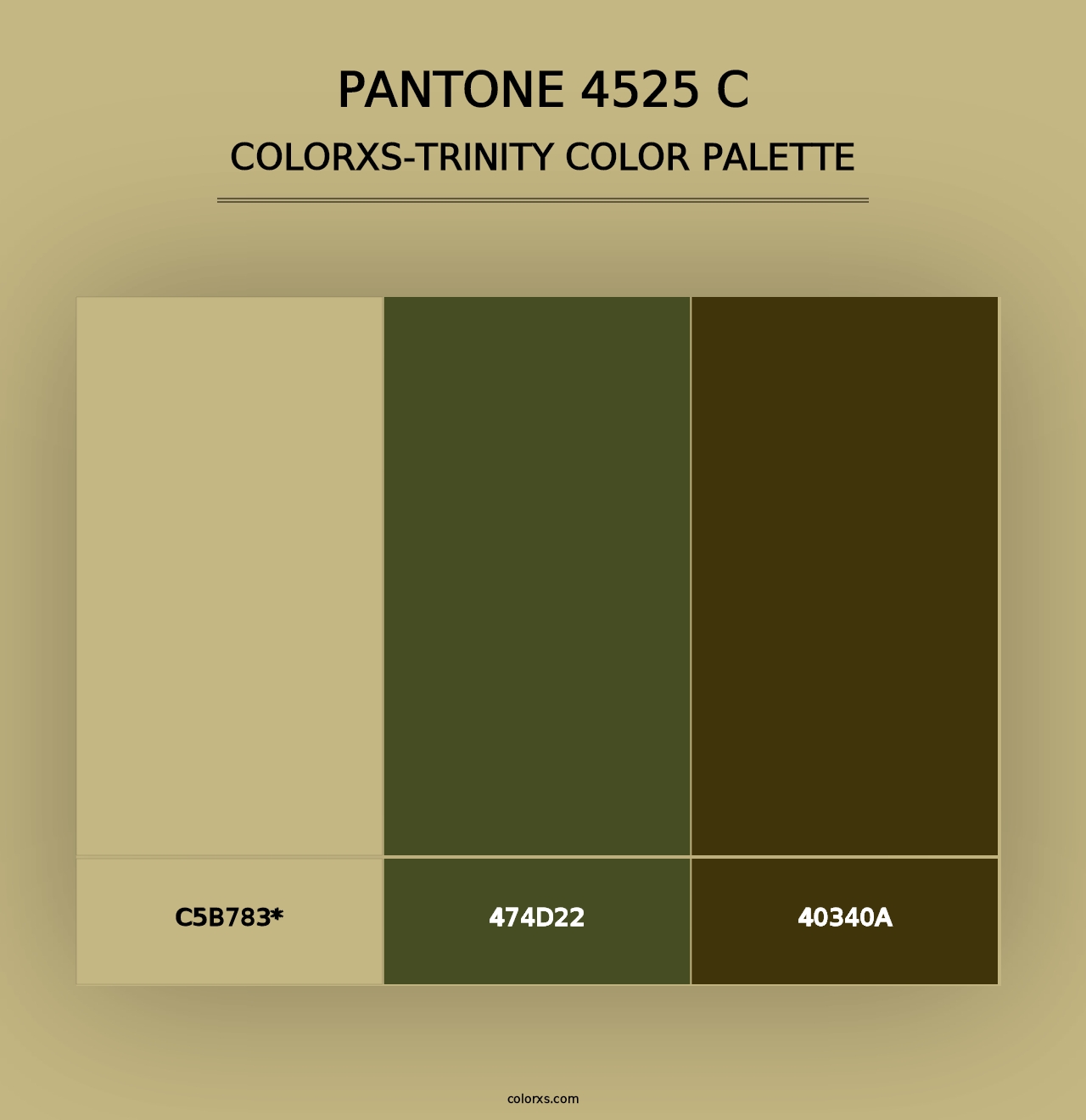 PANTONE 4525 C - Colorxs Trinity Palette