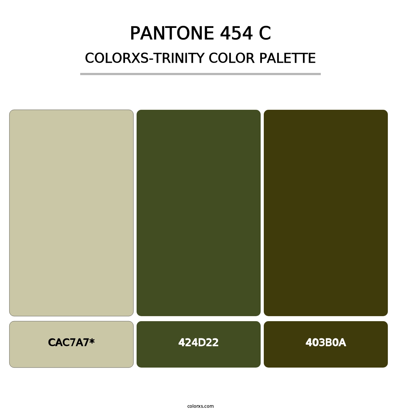 PANTONE 454 C - Colorxs Trinity Palette