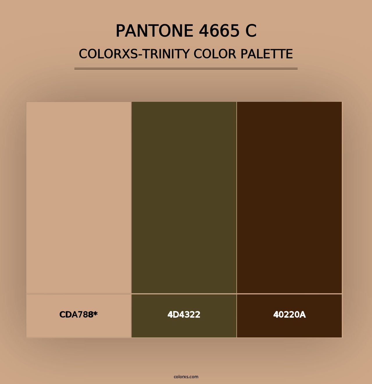 PANTONE 4665 C - Colorxs Trinity Palette