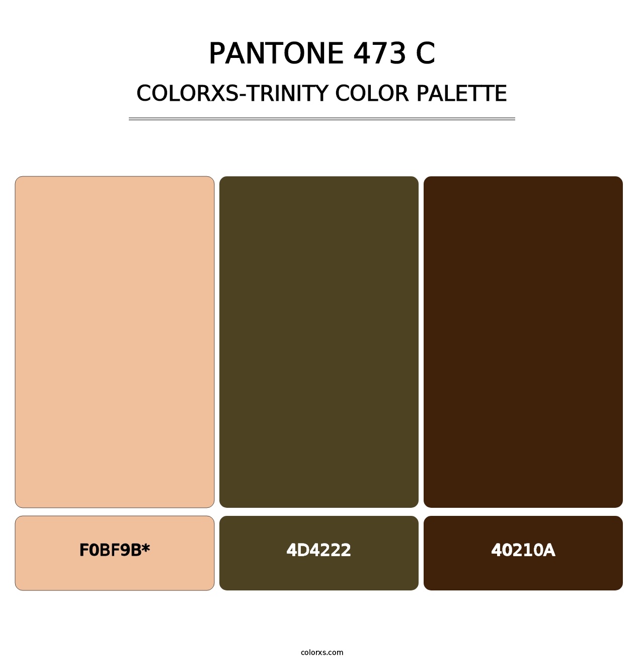 PANTONE 473 C - Colorxs Trinity Palette