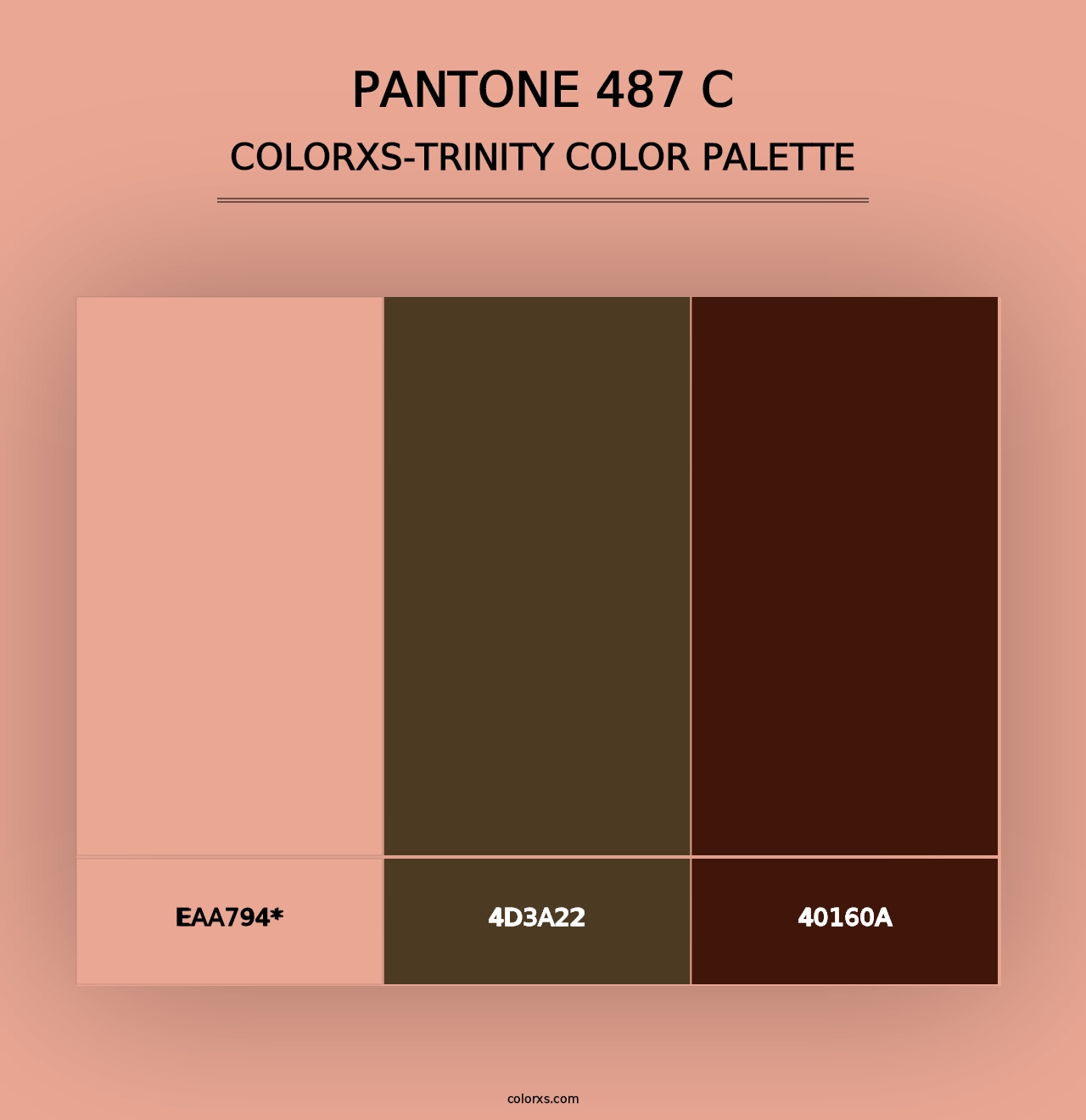 PANTONE 487 C - Colorxs Trinity Palette