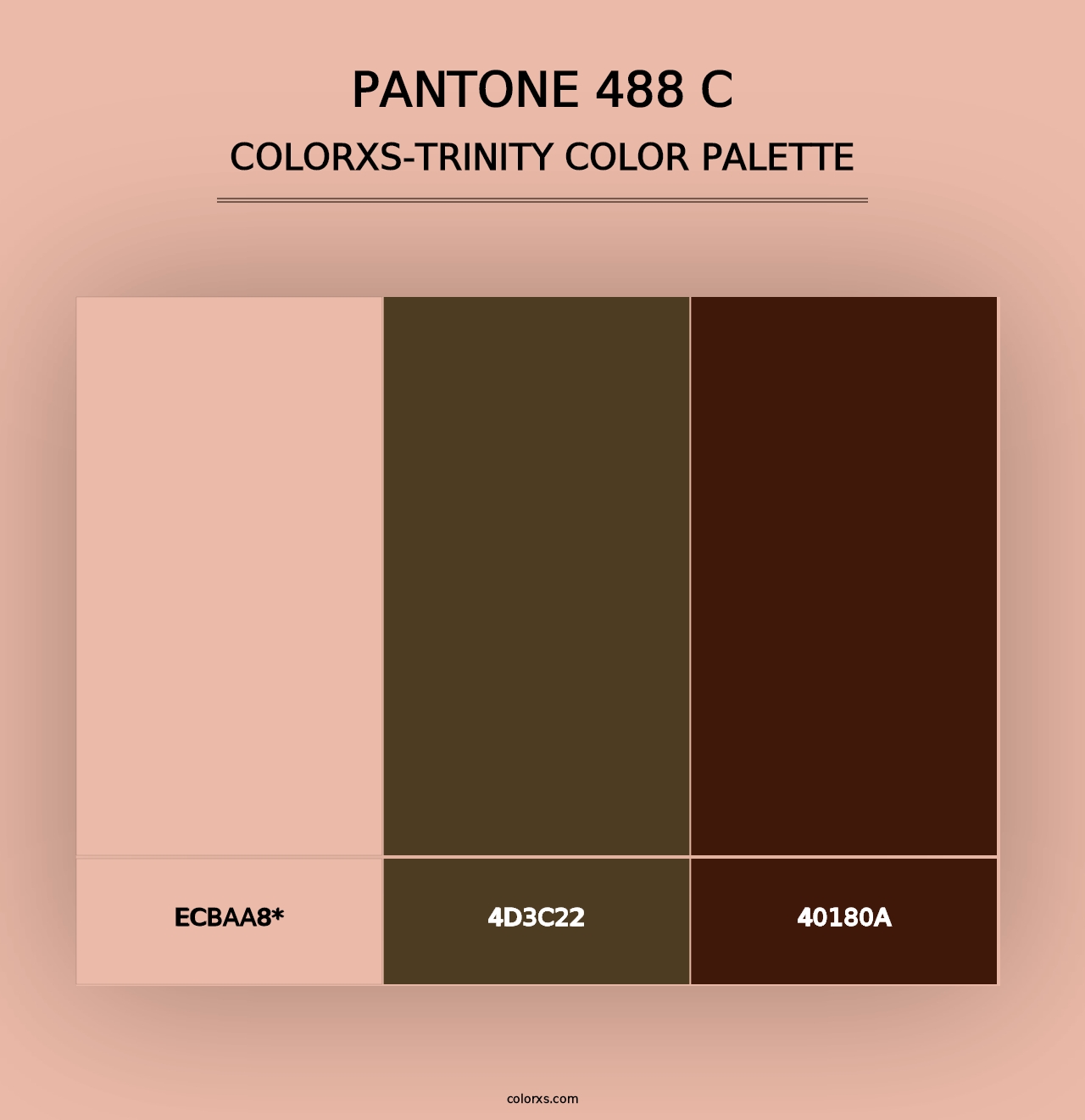 PANTONE 488 C - Colorxs Trinity Palette