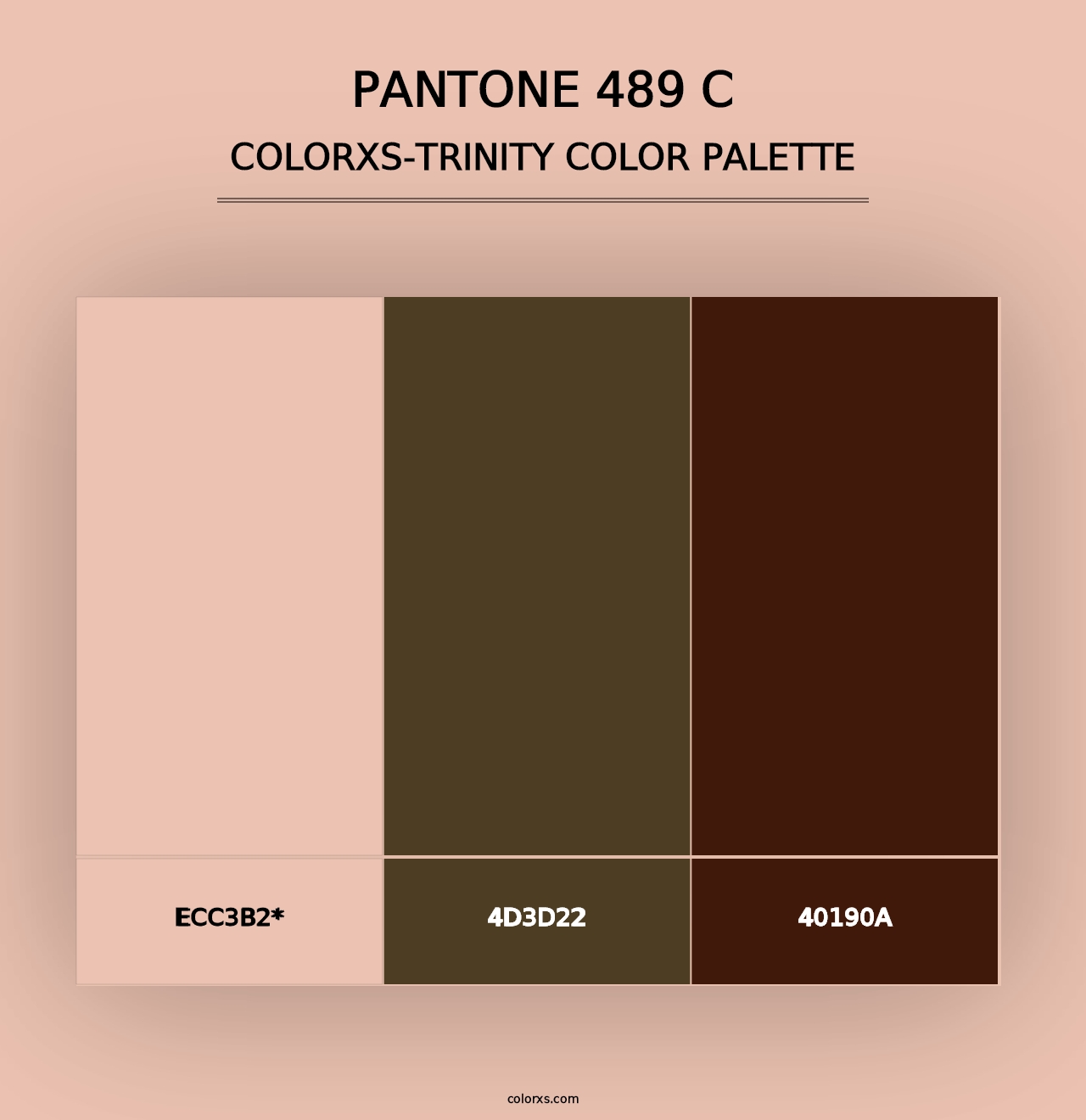 PANTONE 489 C - Colorxs Trinity Palette