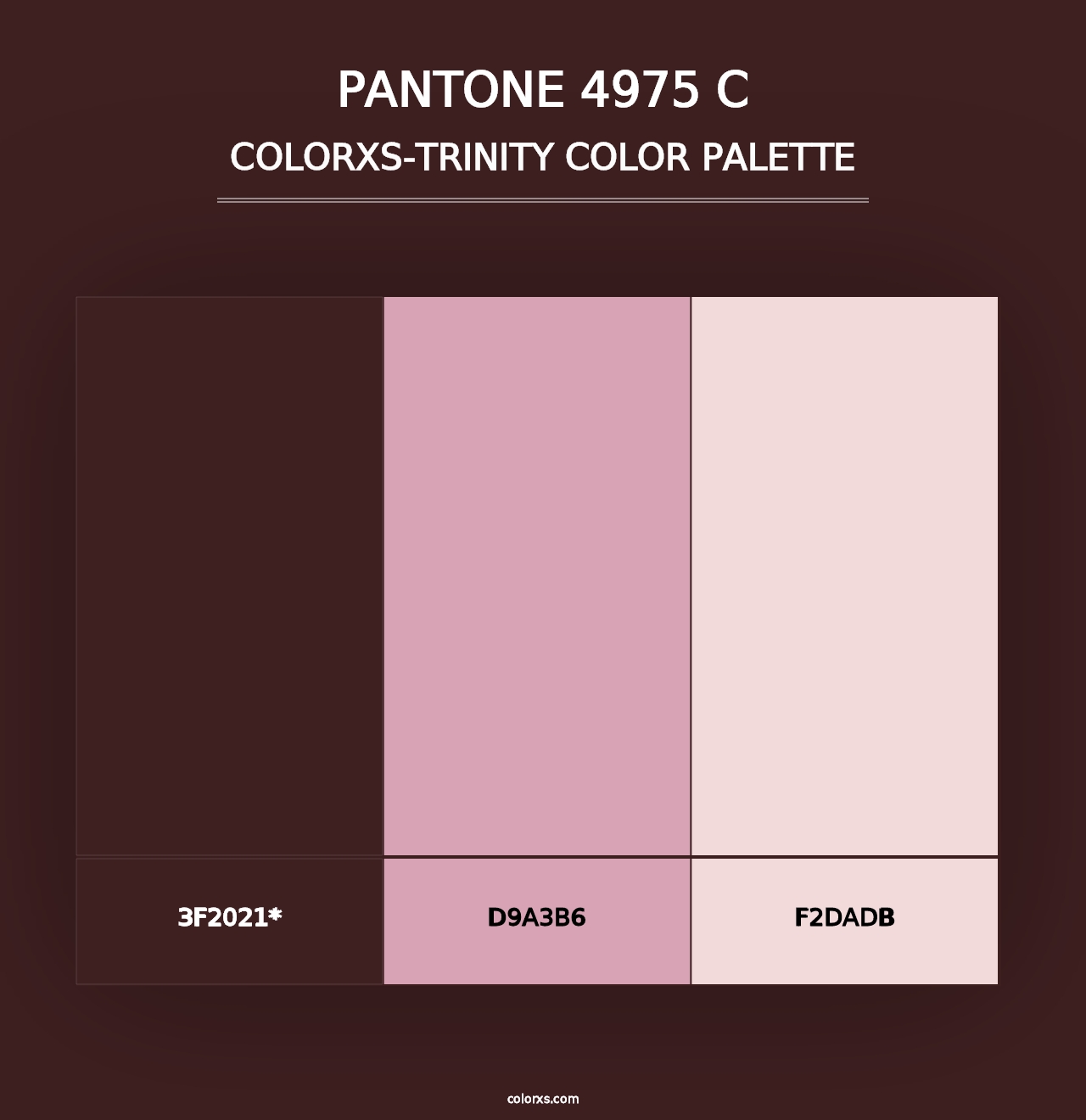 PANTONE 4975 C - Colorxs Trinity Palette