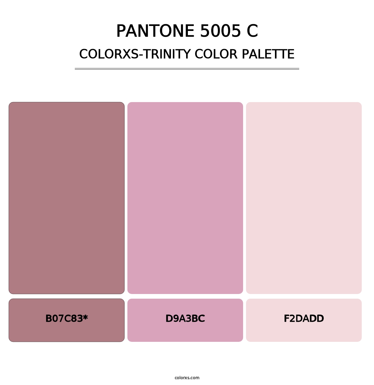 PANTONE 5005 C - Colorxs Trinity Palette