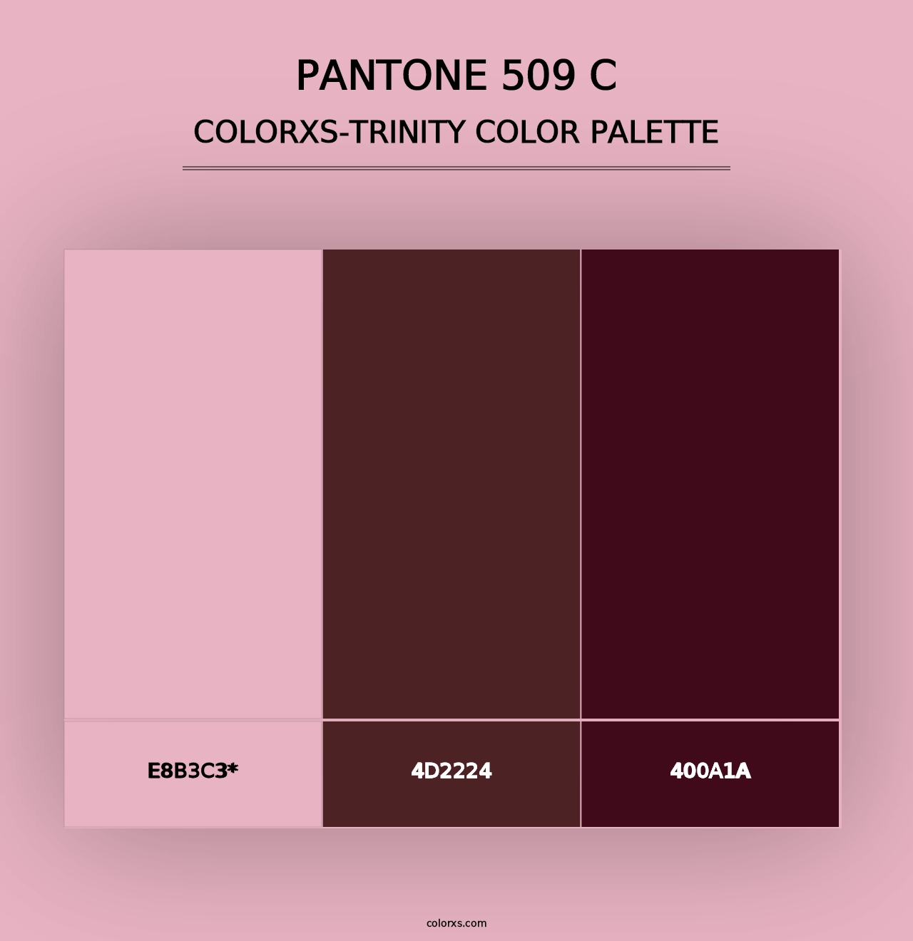 PANTONE 509 C - Colorxs Trinity Palette