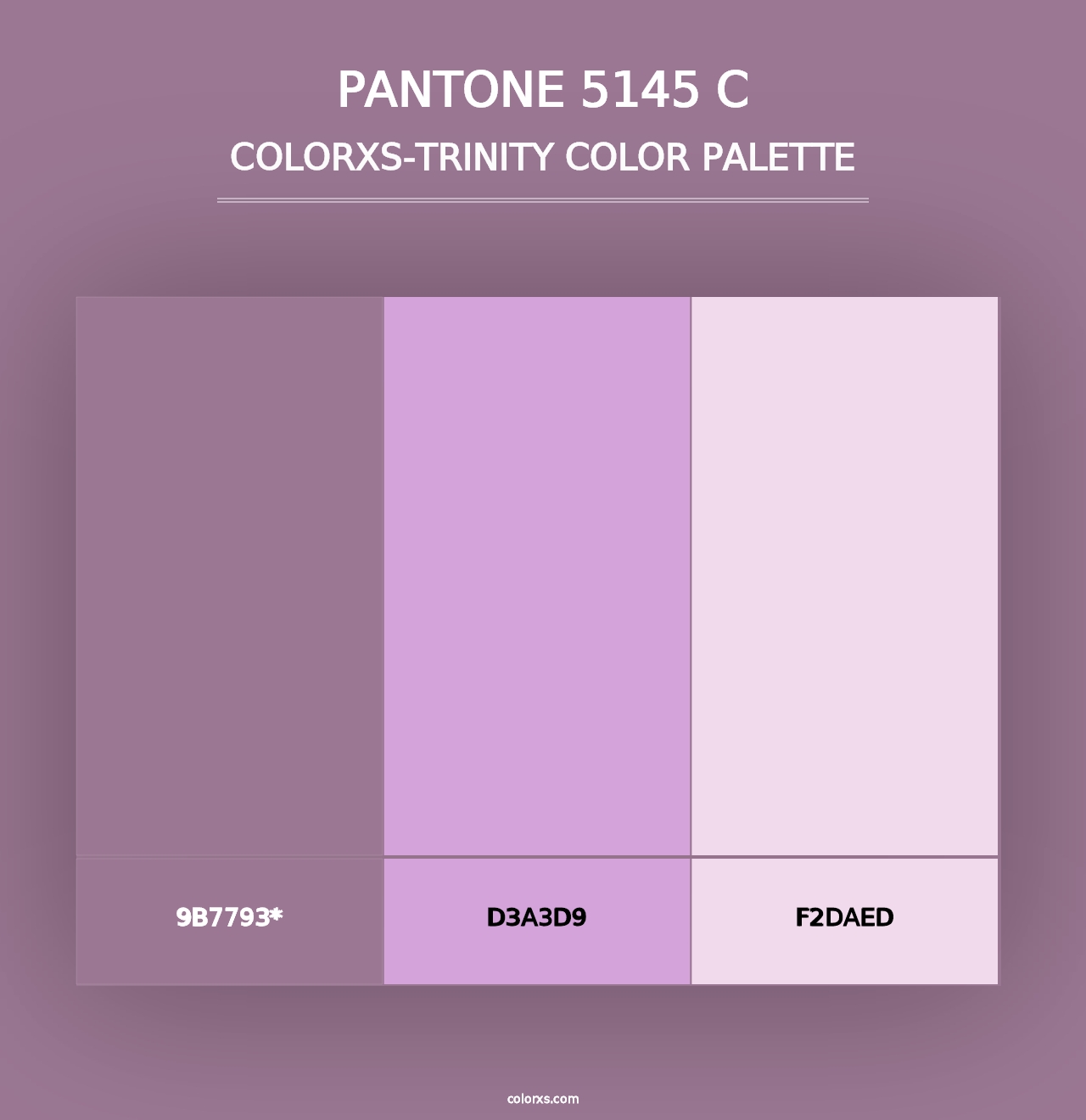 PANTONE 5145 C - Colorxs Trinity Palette