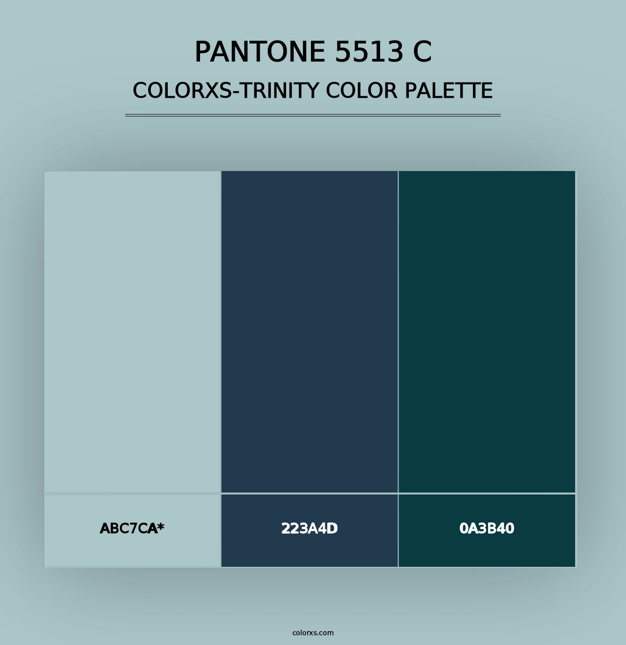 PANTONE 5513 C - Colorxs Trinity Palette