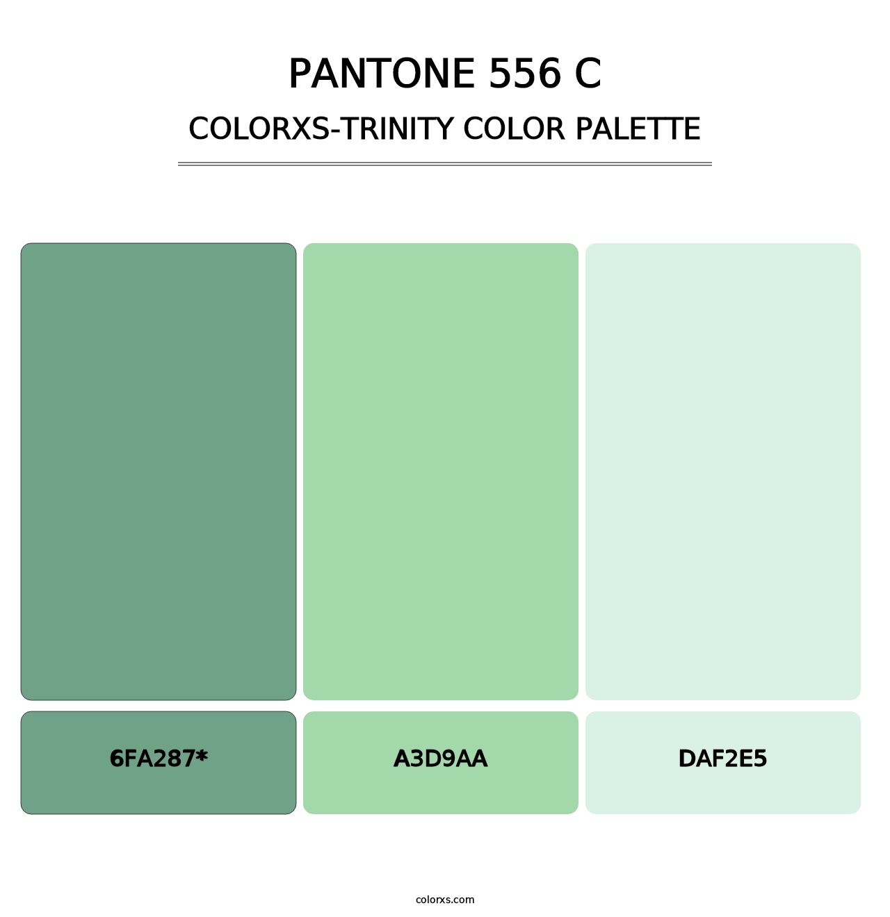 PANTONE 556 C - Colorxs Trinity Palette