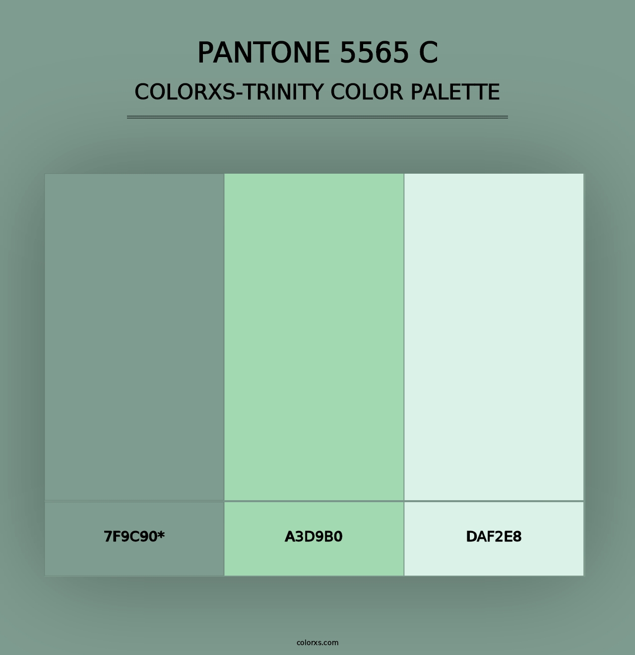 PANTONE 5565 C - Colorxs Trinity Palette