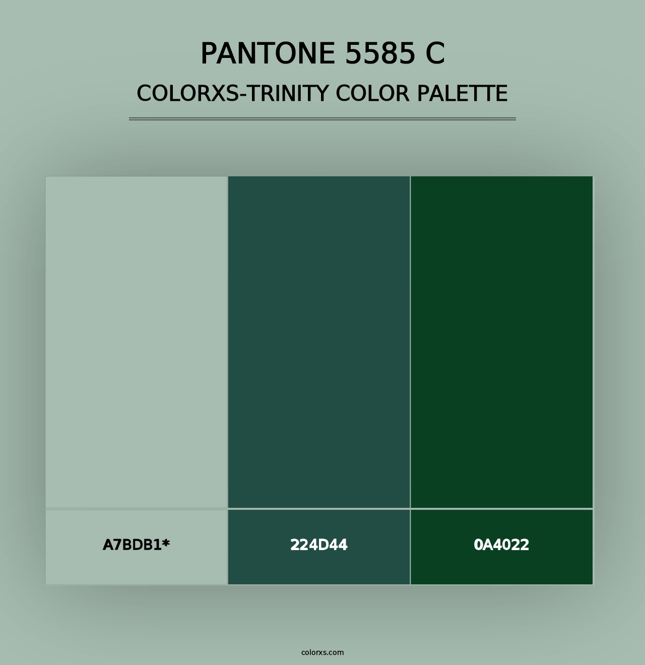 PANTONE 5585 C - Colorxs Trinity Palette