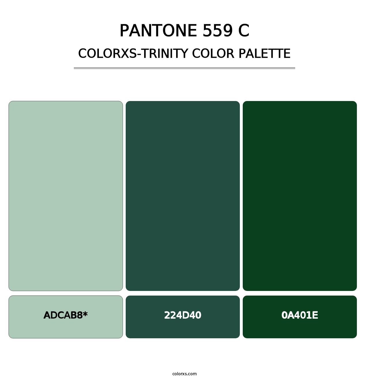 PANTONE 559 C - Colorxs Trinity Palette