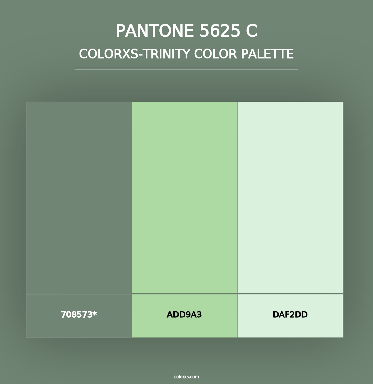 PANTONE 5625 C - Colorxs Trinity Palette