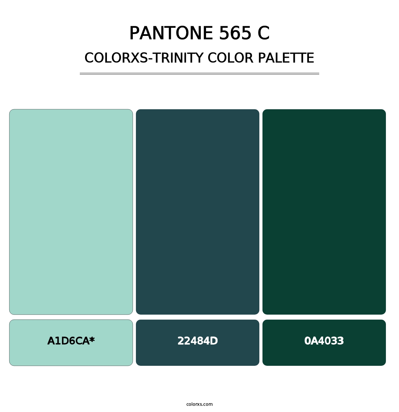 PANTONE 565 C - Colorxs Trinity Palette