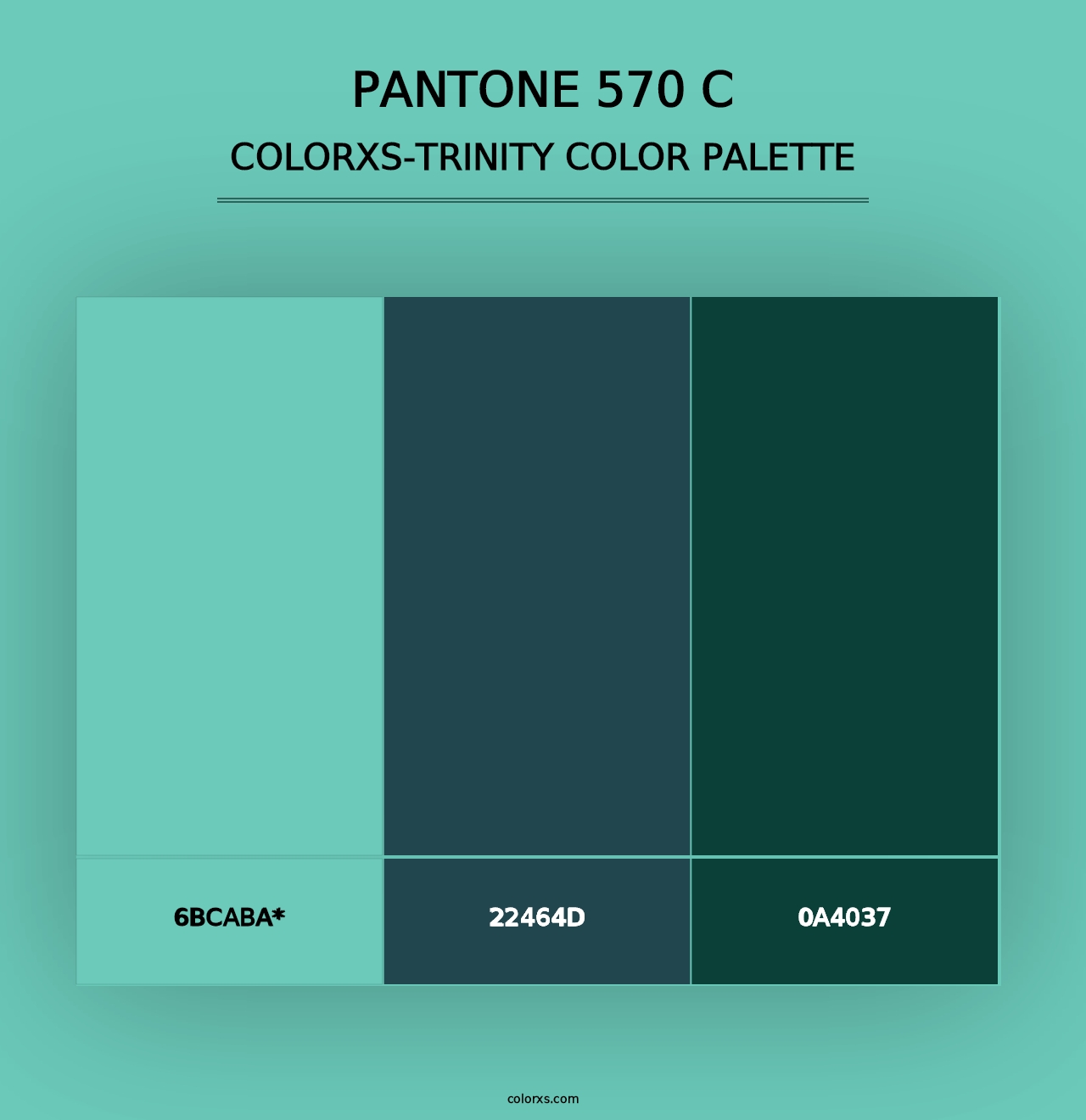 PANTONE 570 C - Colorxs Trinity Palette