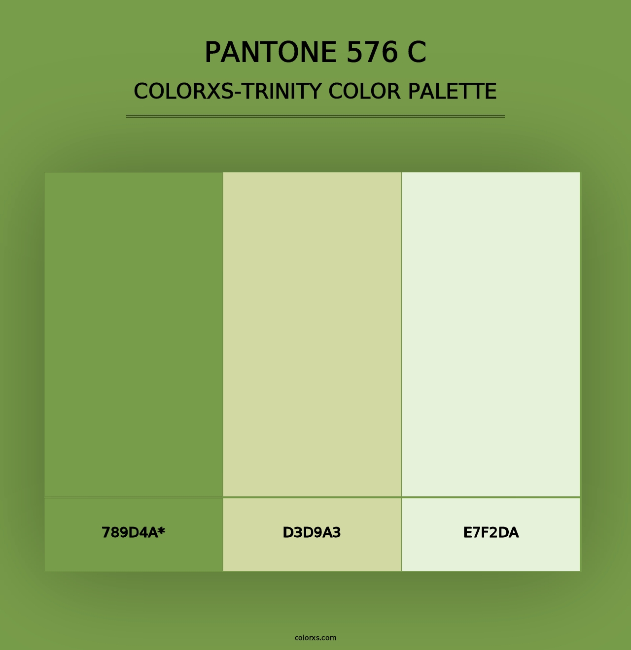 PANTONE 576 C - Colorxs Trinity Palette