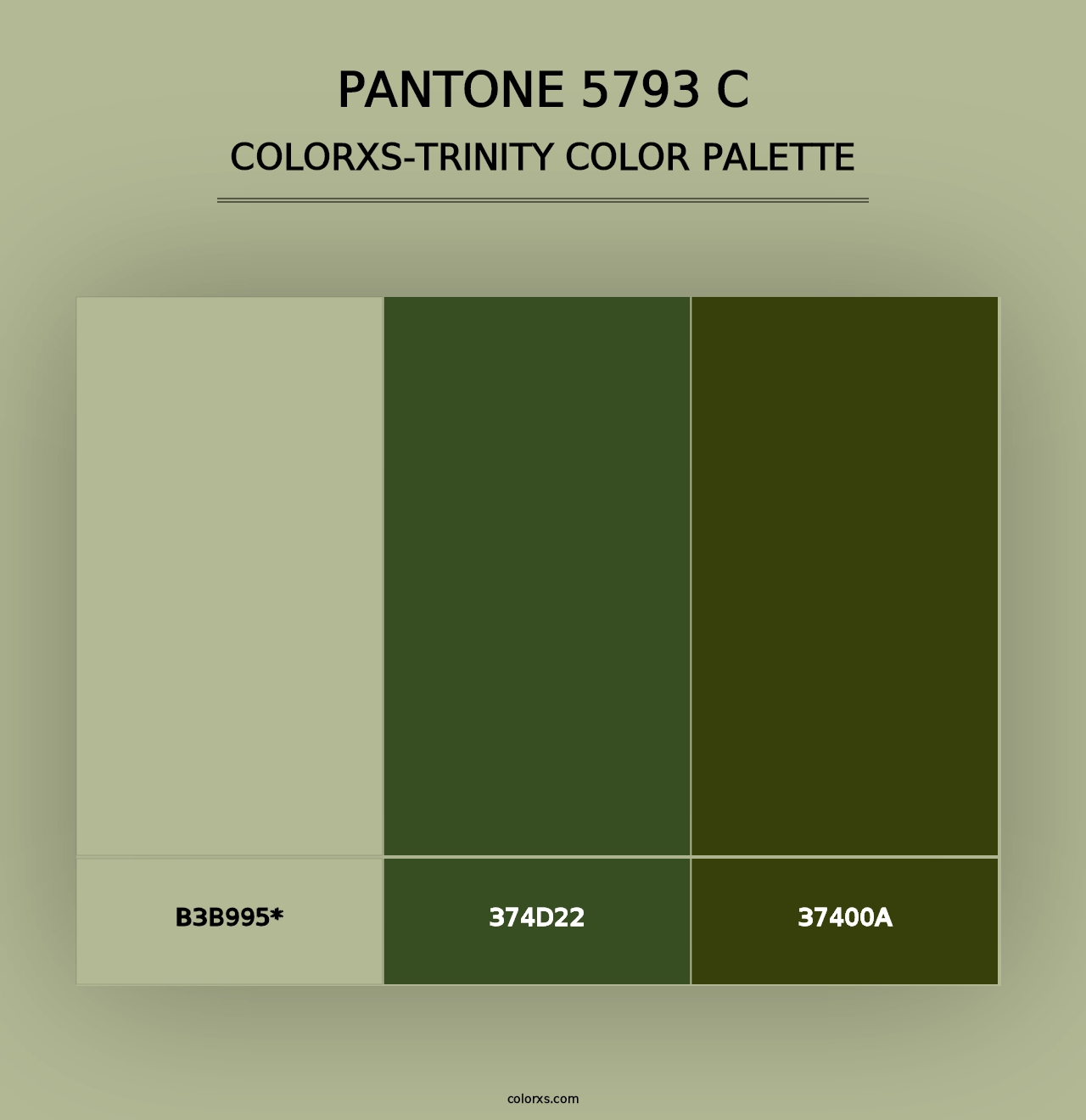 PANTONE 5793 C - Colorxs Trinity Palette