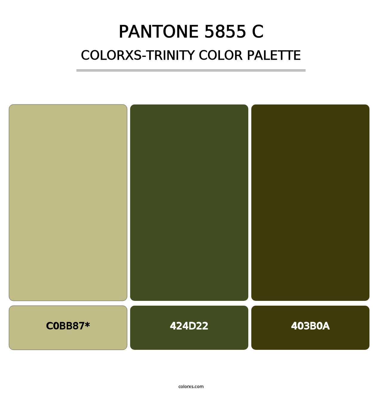 PANTONE 5855 C - Colorxs Trinity Palette