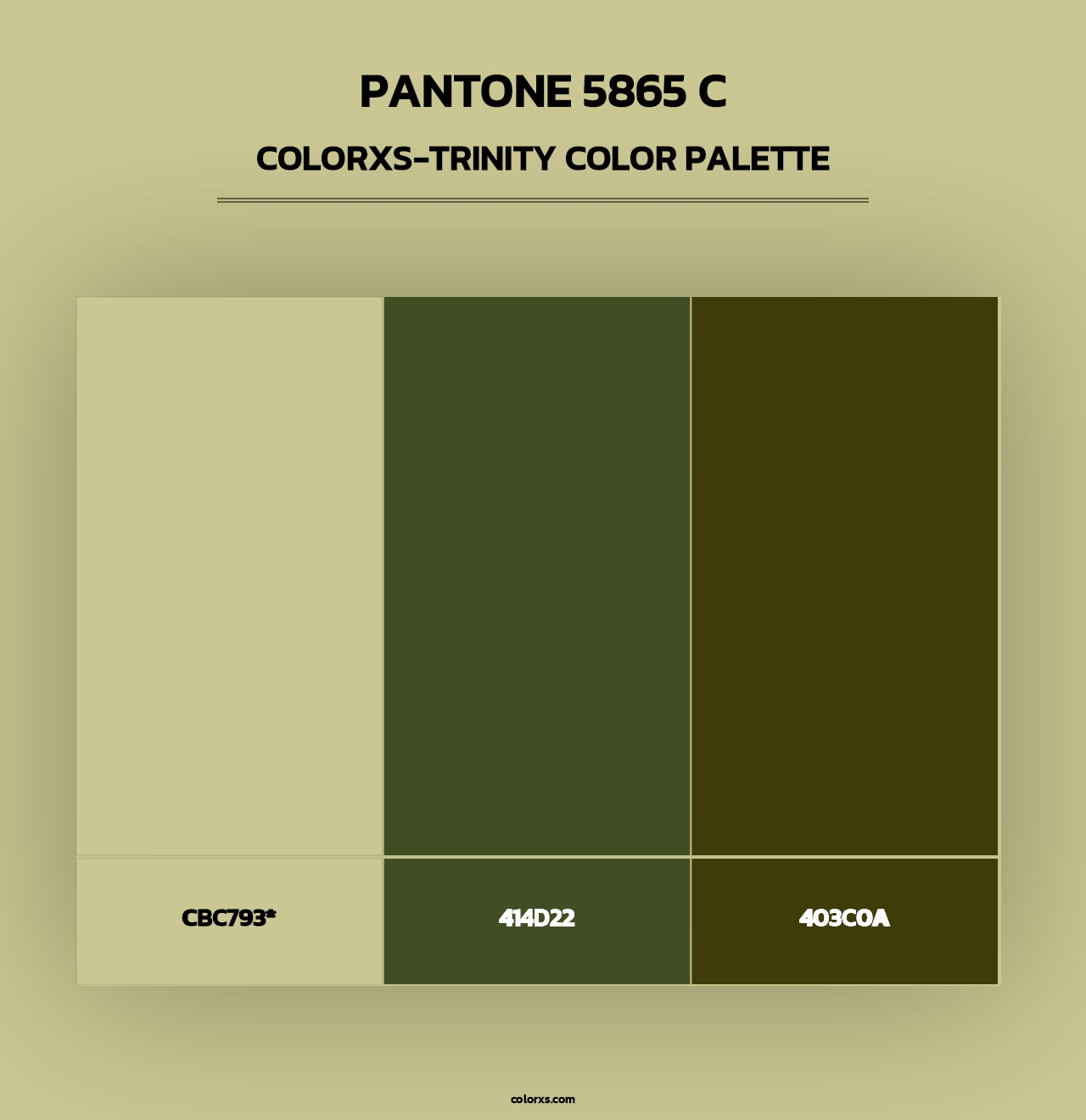 PANTONE 5865 C - Colorxs Trinity Palette