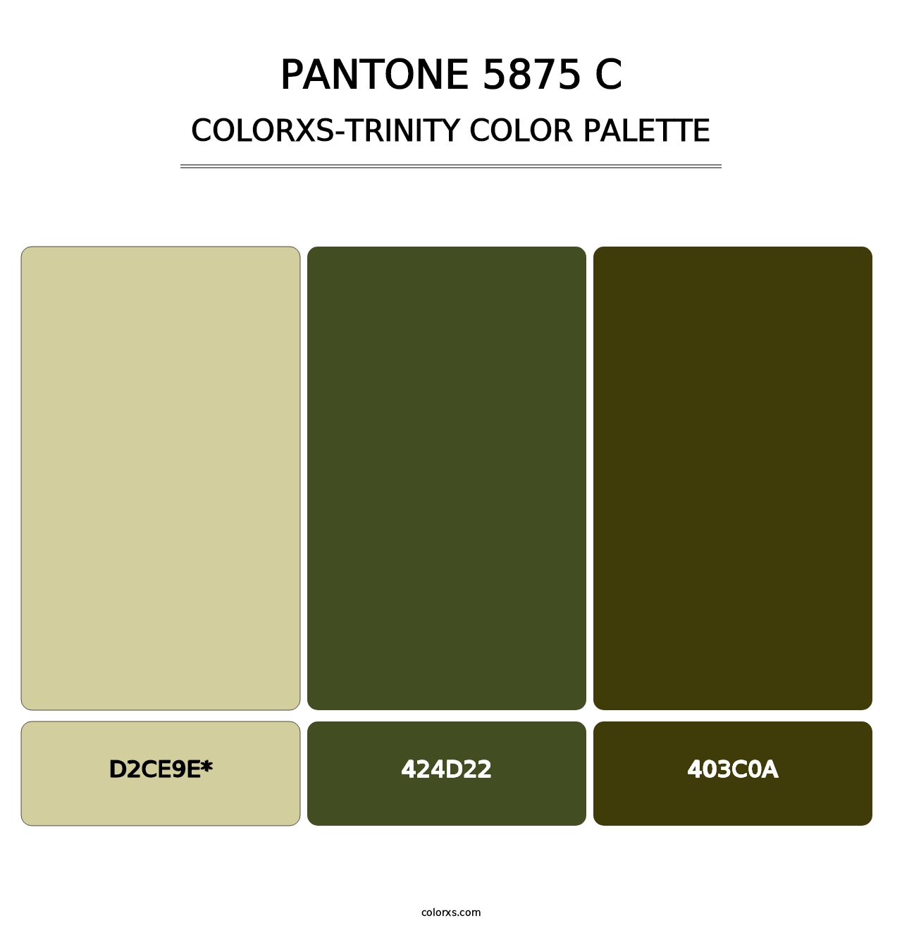 PANTONE 5875 C - Colorxs Trinity Palette