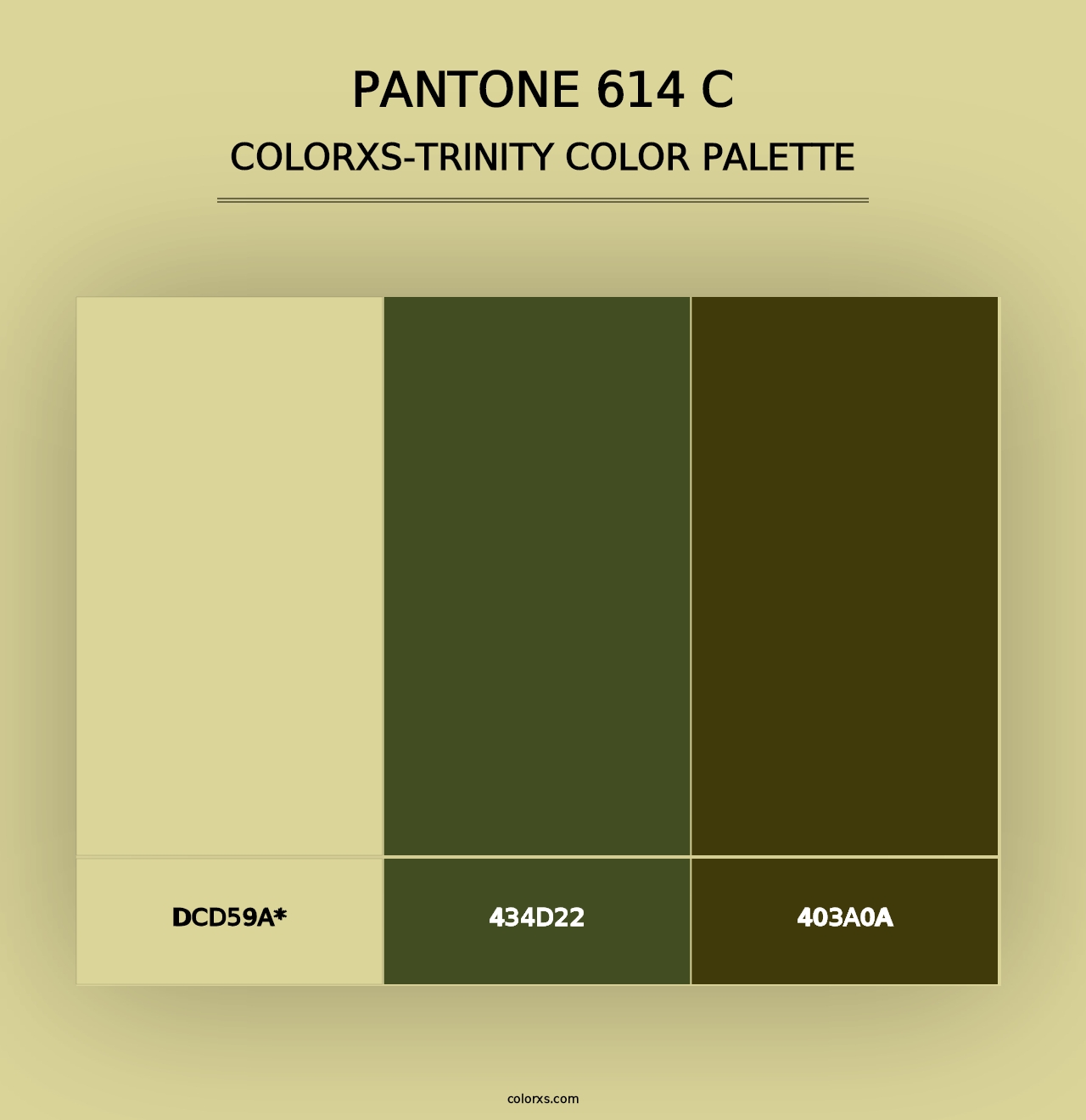 PANTONE 614 C - Colorxs Trinity Palette