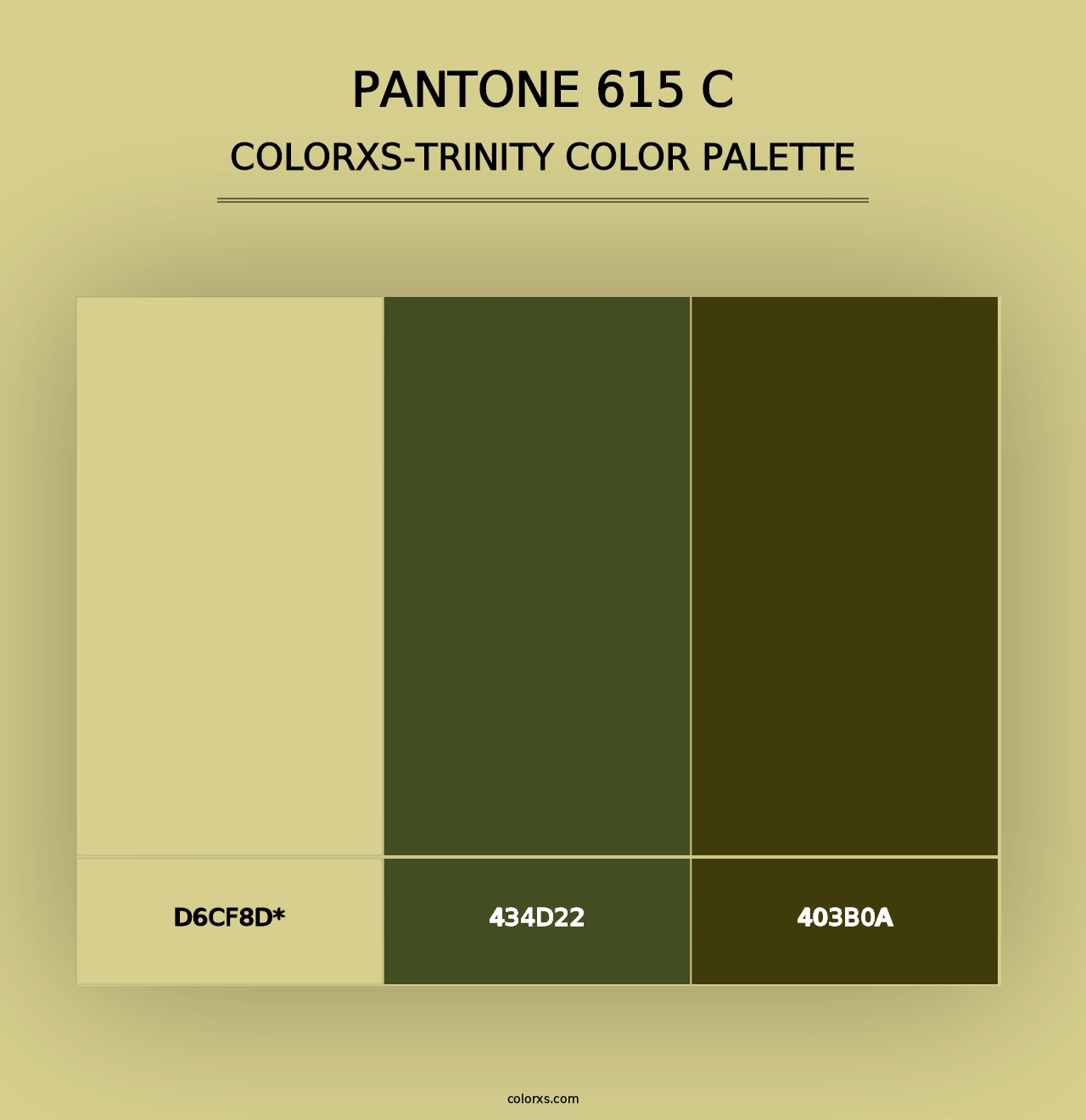 PANTONE 615 C - Colorxs Trinity Palette