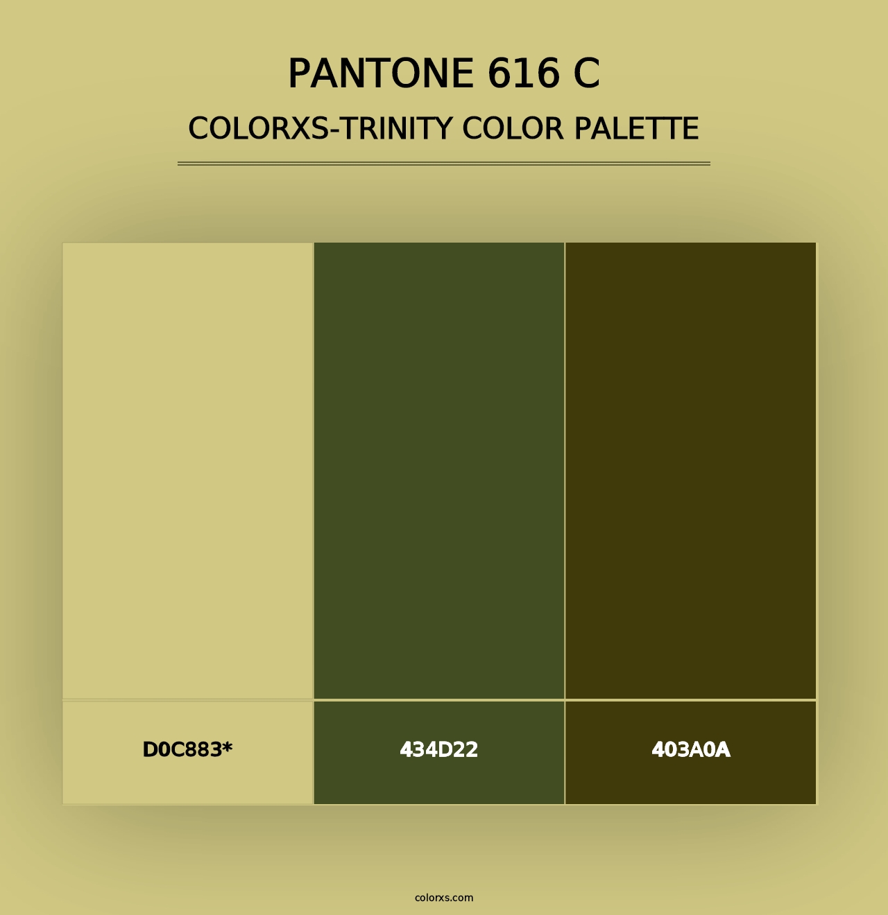 PANTONE 616 C - Colorxs Trinity Palette