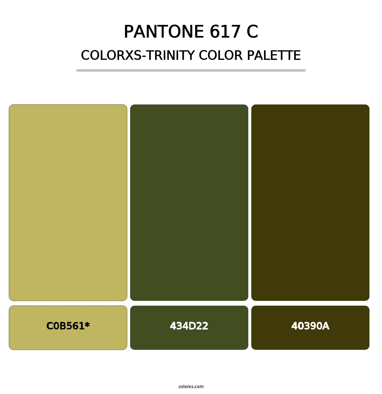 PANTONE 617 C - Colorxs Trinity Palette