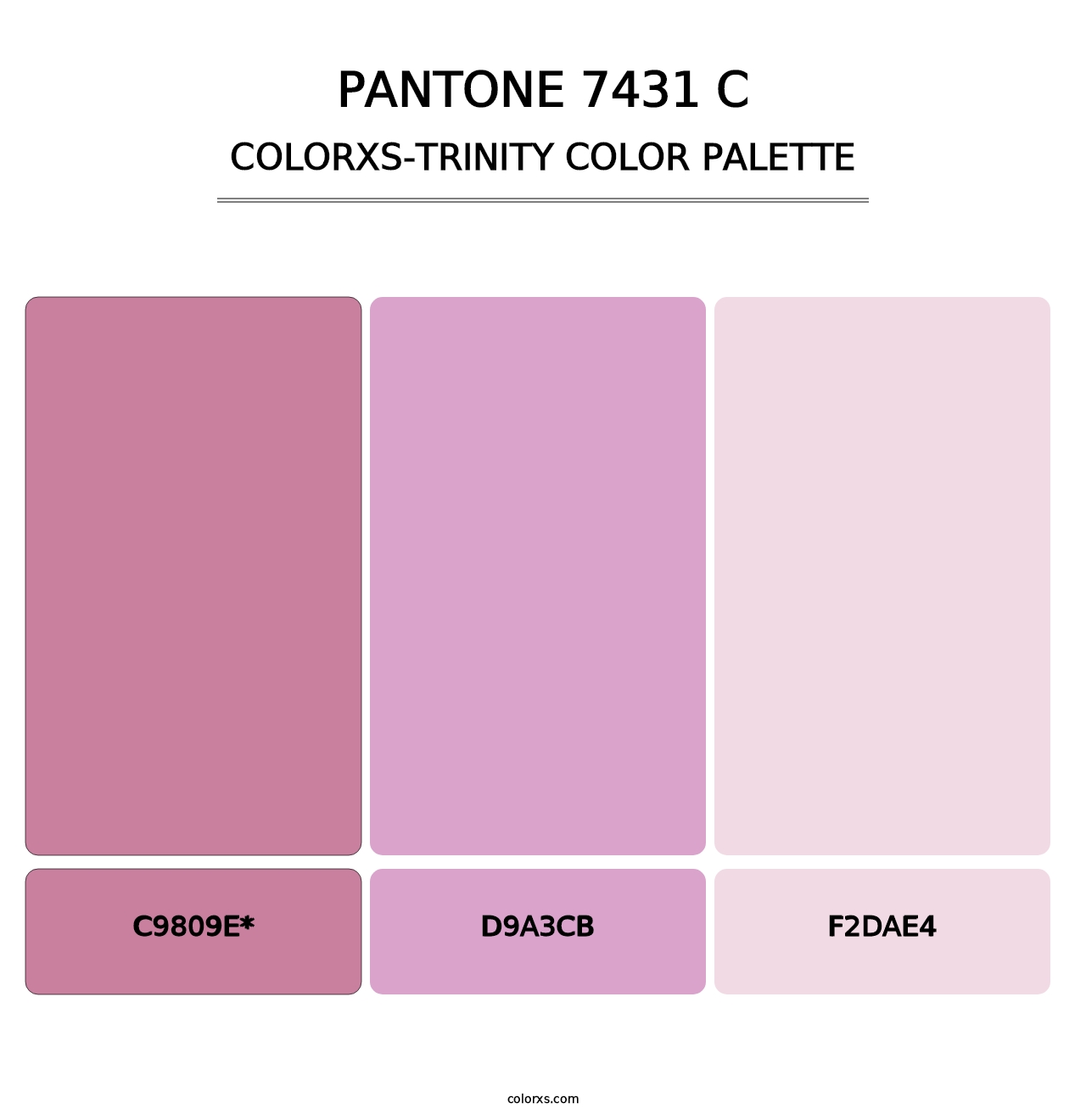 PANTONE 7431 C - Colorxs Trinity Palette