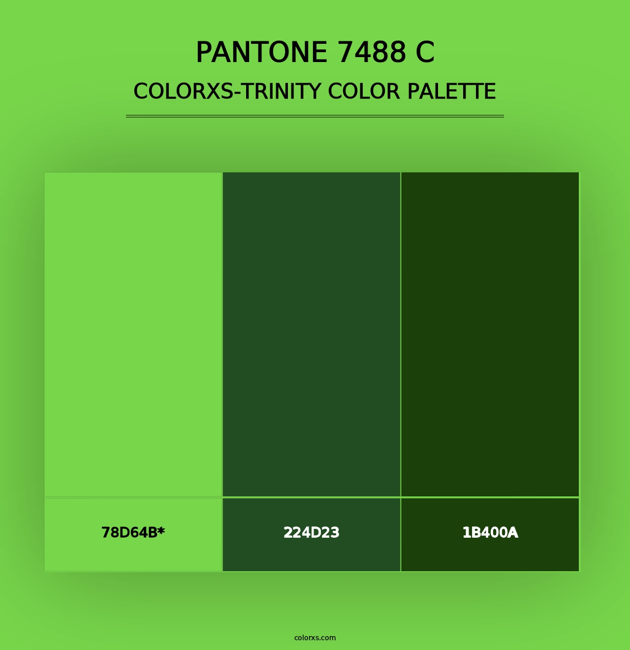 PANTONE 7488 C - Colorxs Trinity Palette