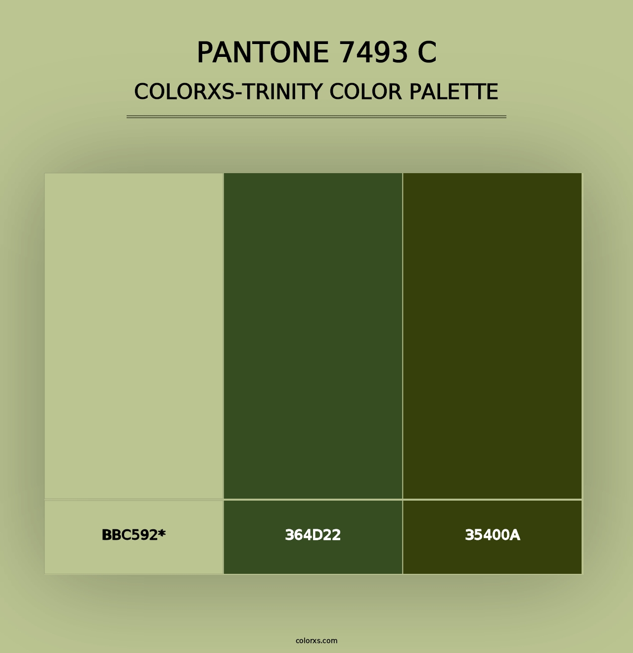 PANTONE 7493 C - Colorxs Trinity Palette