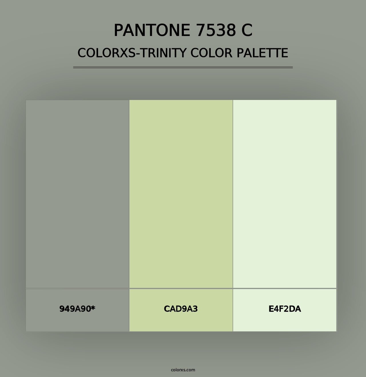 PANTONE 7538 C - Colorxs Trinity Palette