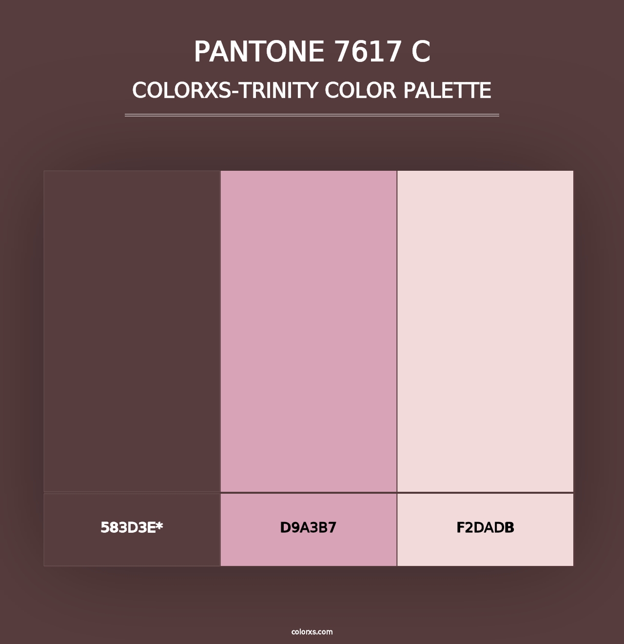 PANTONE 7617 C - Colorxs Trinity Palette