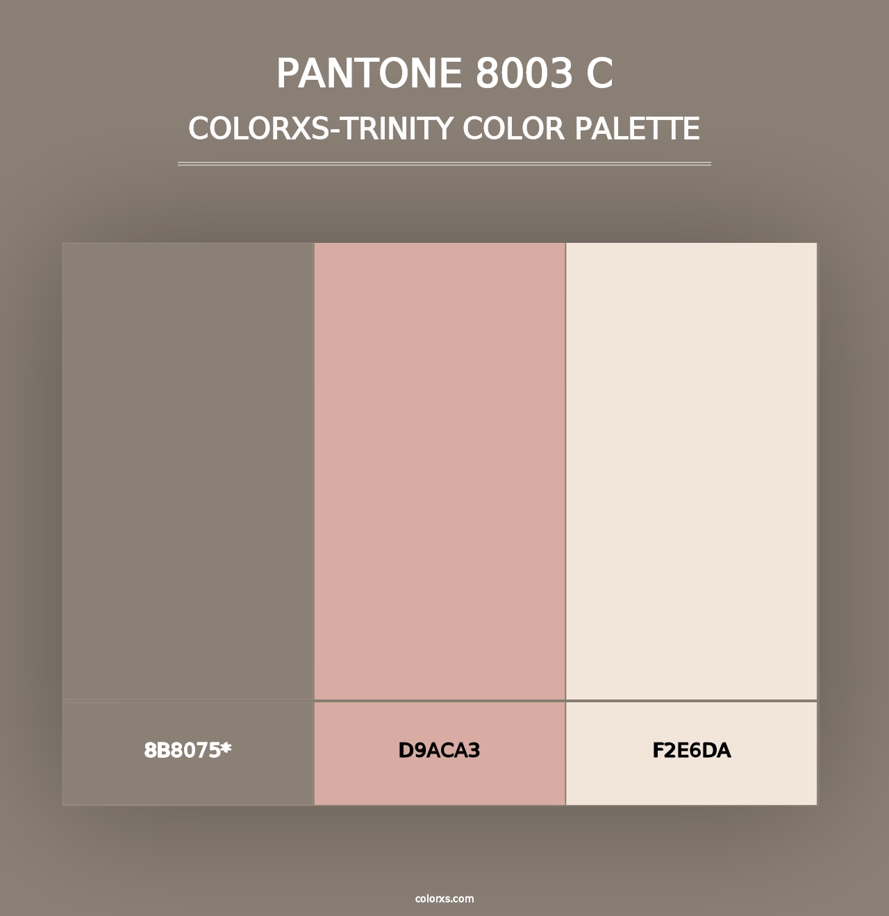 PANTONE 8003 C - Colorxs Trinity Palette