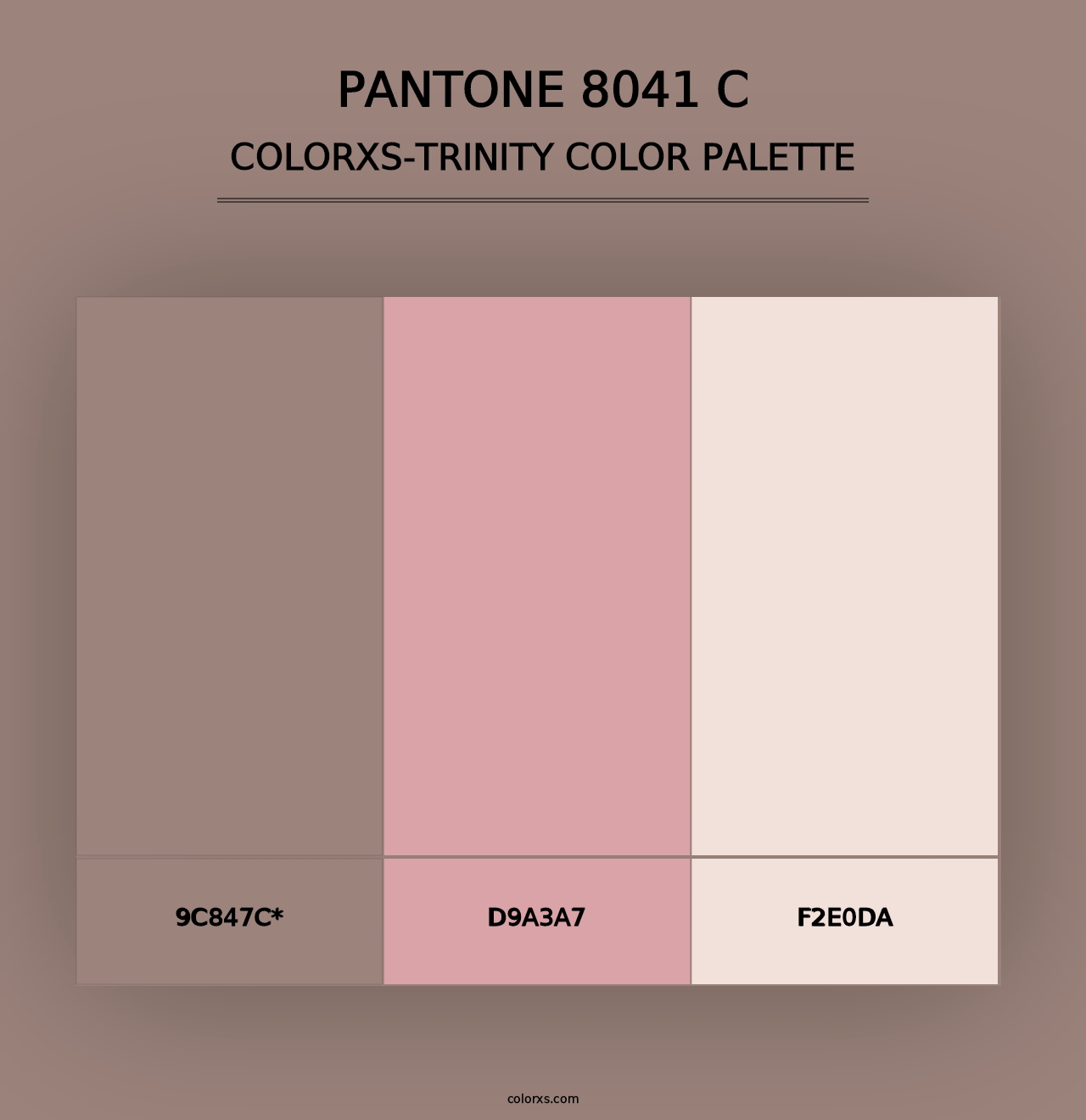 PANTONE 8041 C - Colorxs Trinity Palette