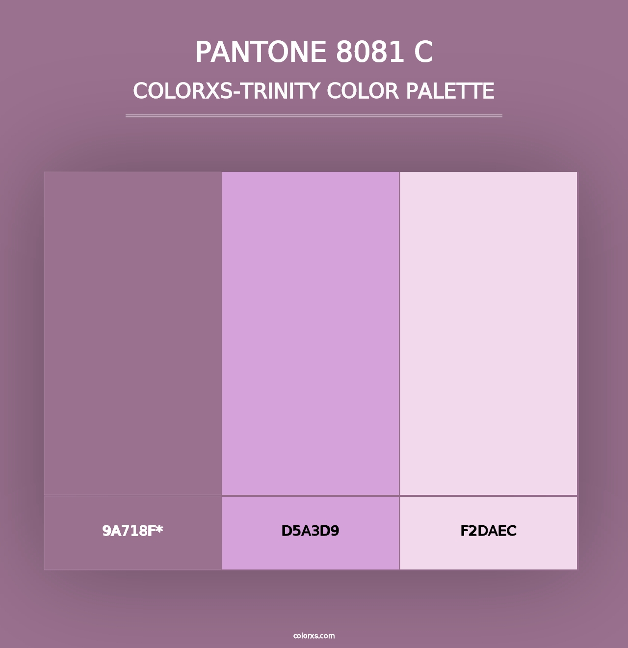 PANTONE 8081 C - Colorxs Trinity Palette