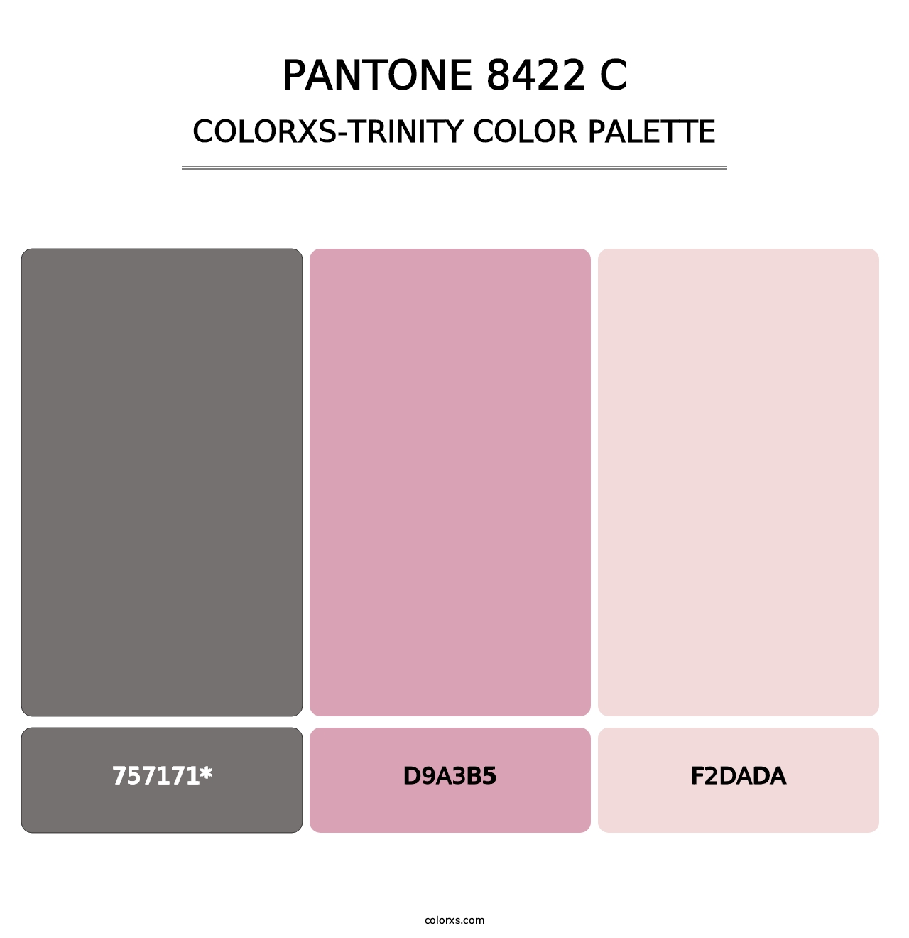 PANTONE 8422 C - Colorxs Trinity Palette