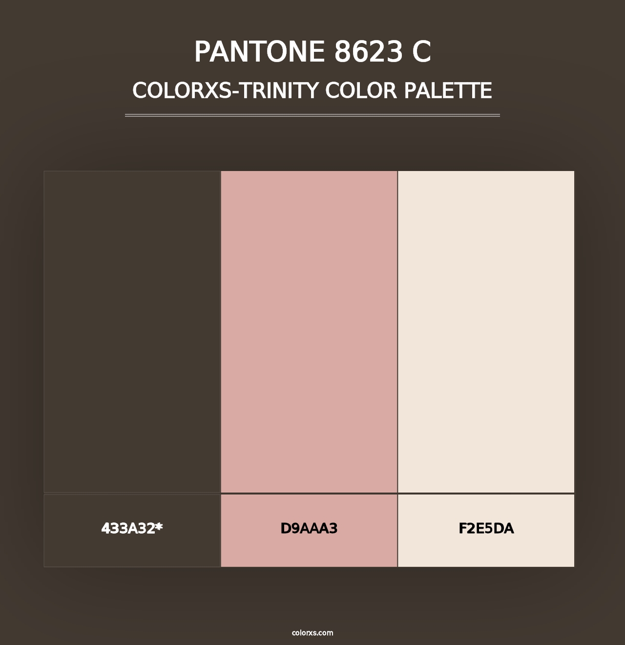 PANTONE 8623 C - Colorxs Trinity Palette