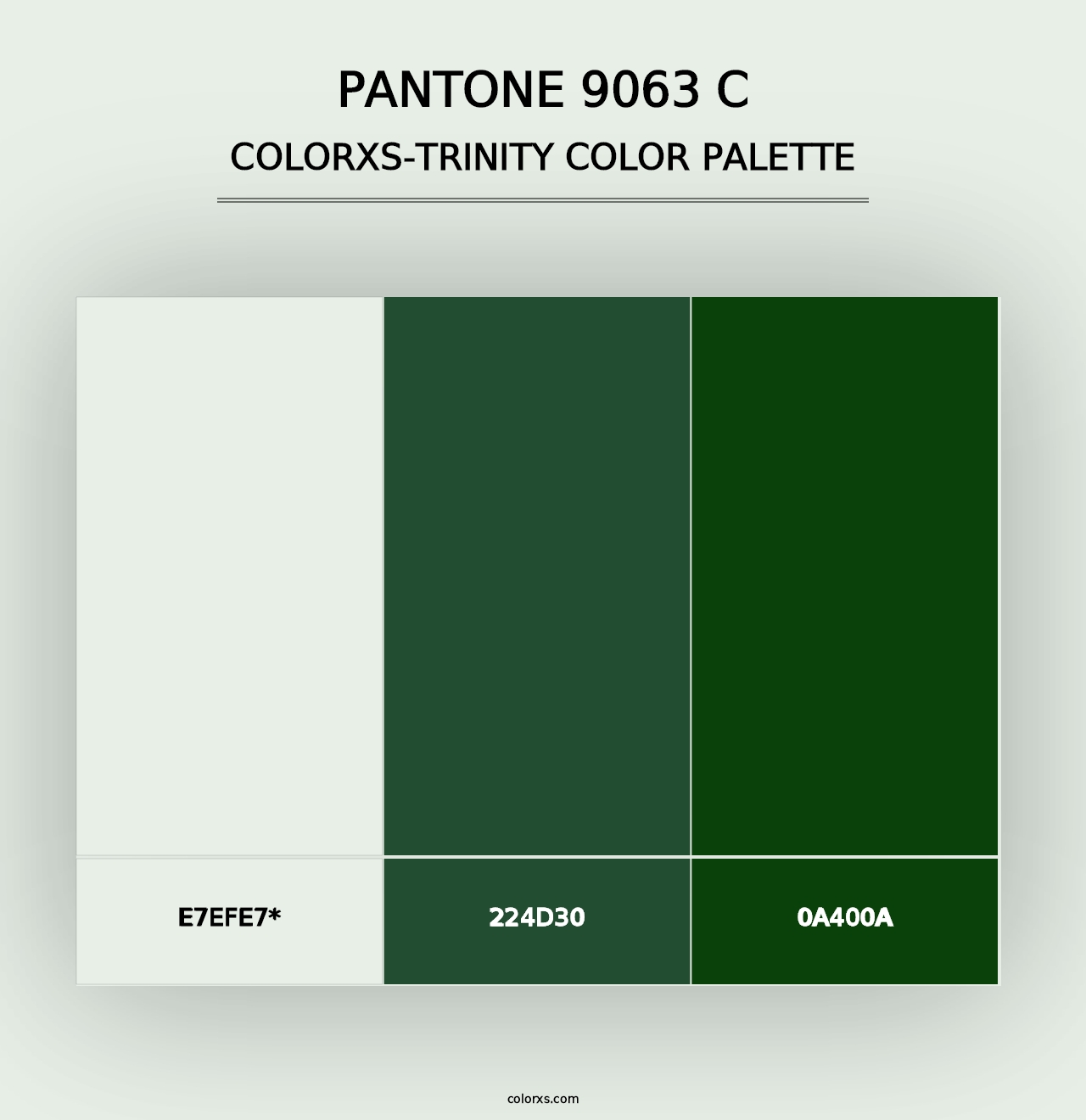 PANTONE 9063 C - Colorxs Trinity Palette