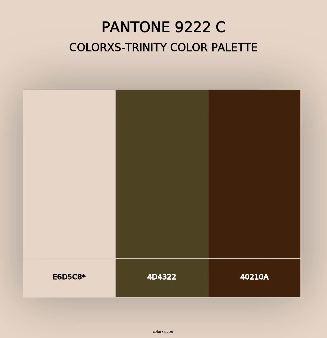 PANTONE 9222 C - Colorxs Trinity Palette