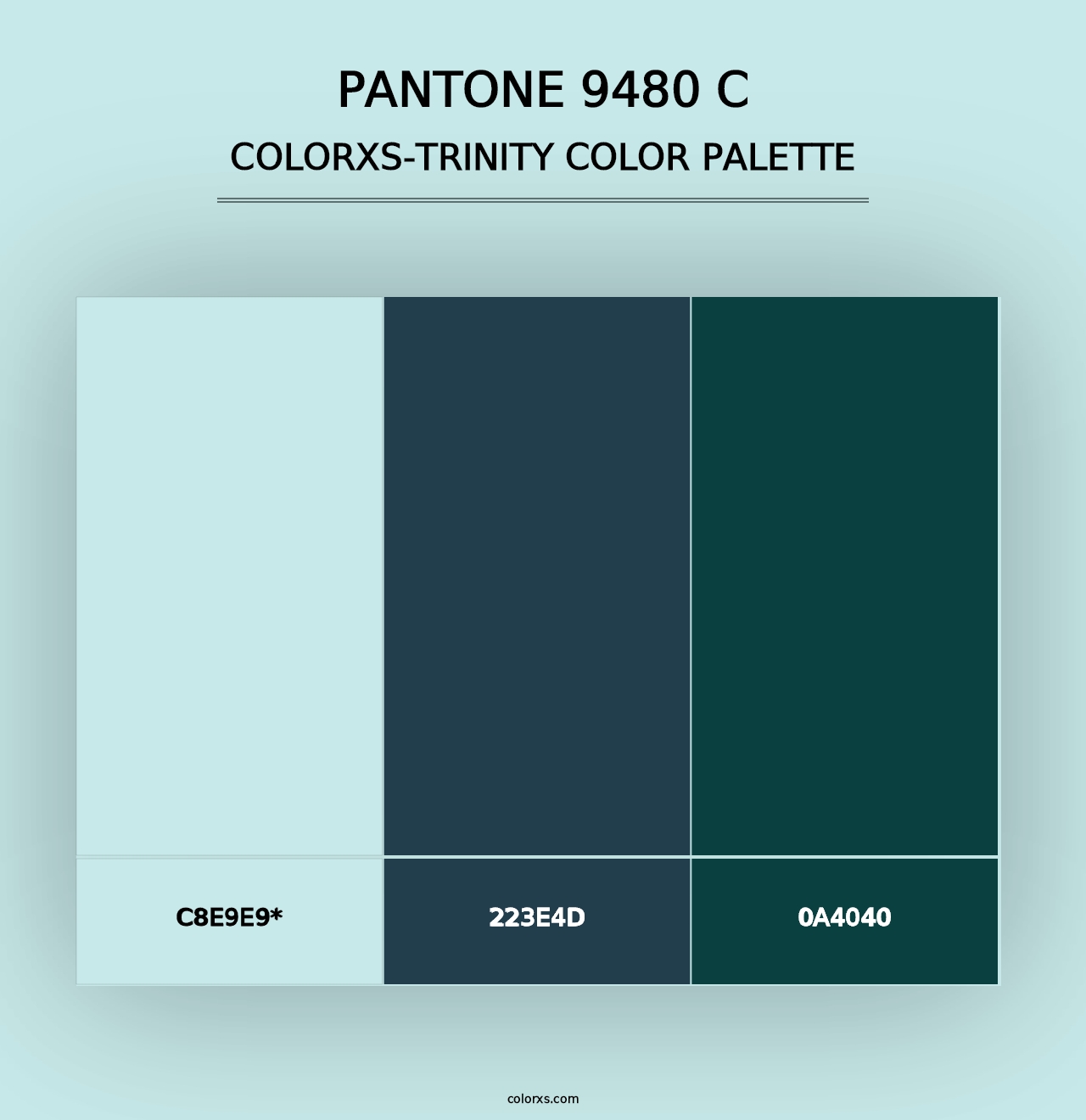 PANTONE 9480 C - Colorxs Trinity Palette