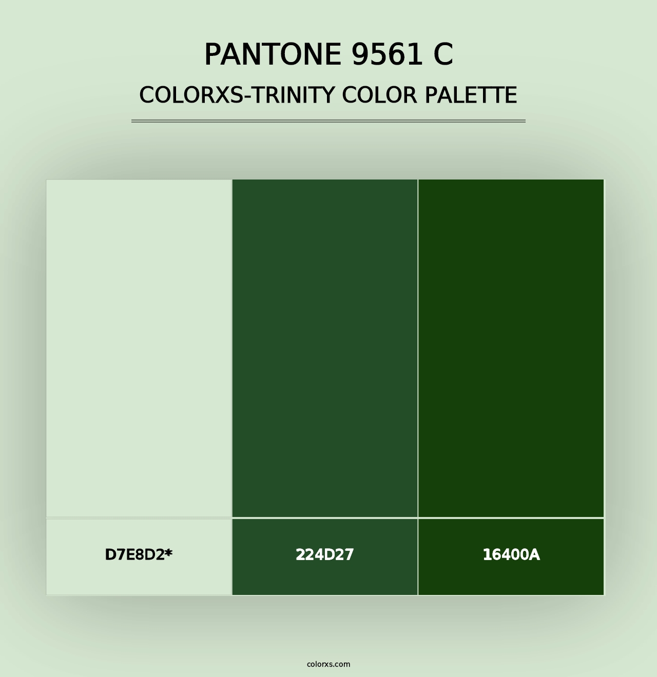 PANTONE 9561 C - Colorxs Trinity Palette