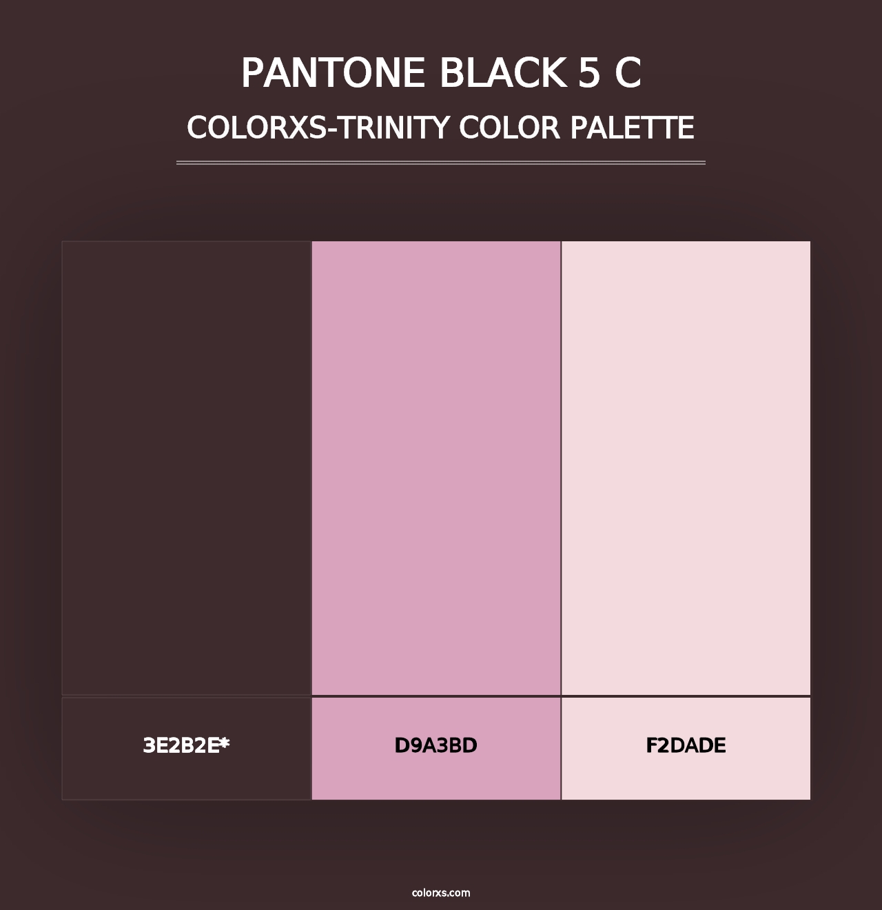 PANTONE Black 5 C - Colorxs Trinity Palette