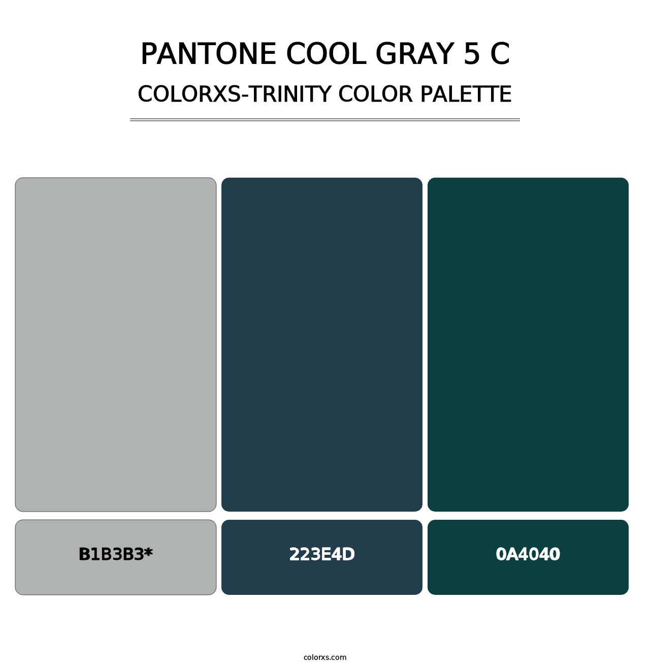 PANTONE Cool Gray 5 C - Colorxs Trinity Palette