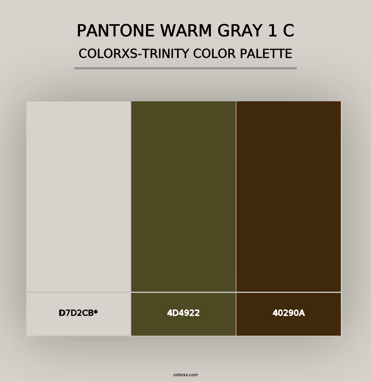 PANTONE Warm Gray 1 C - Colorxs Trinity Palette