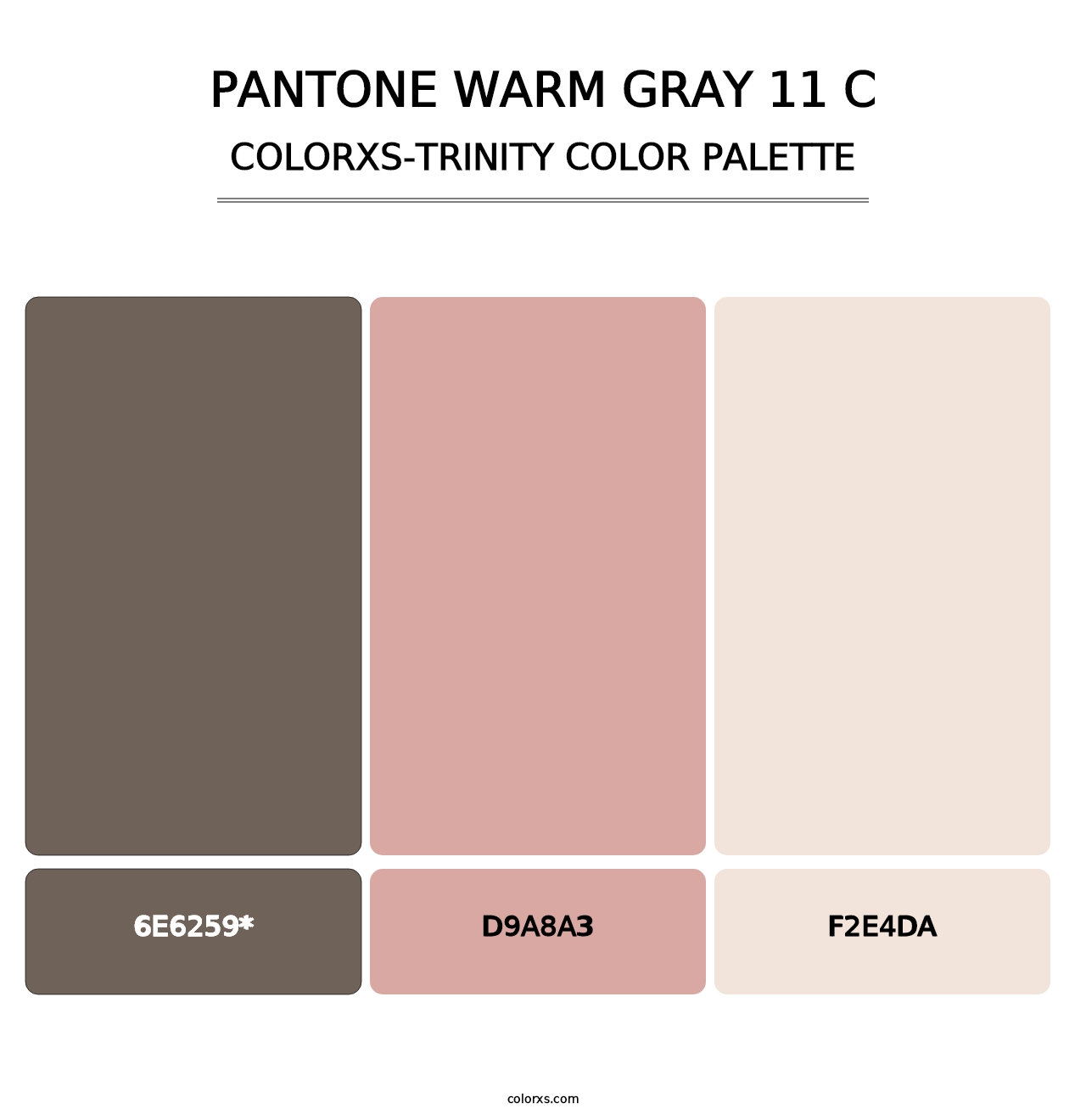 PANTONE Warm Gray 11 C - Colorxs Trinity Palette