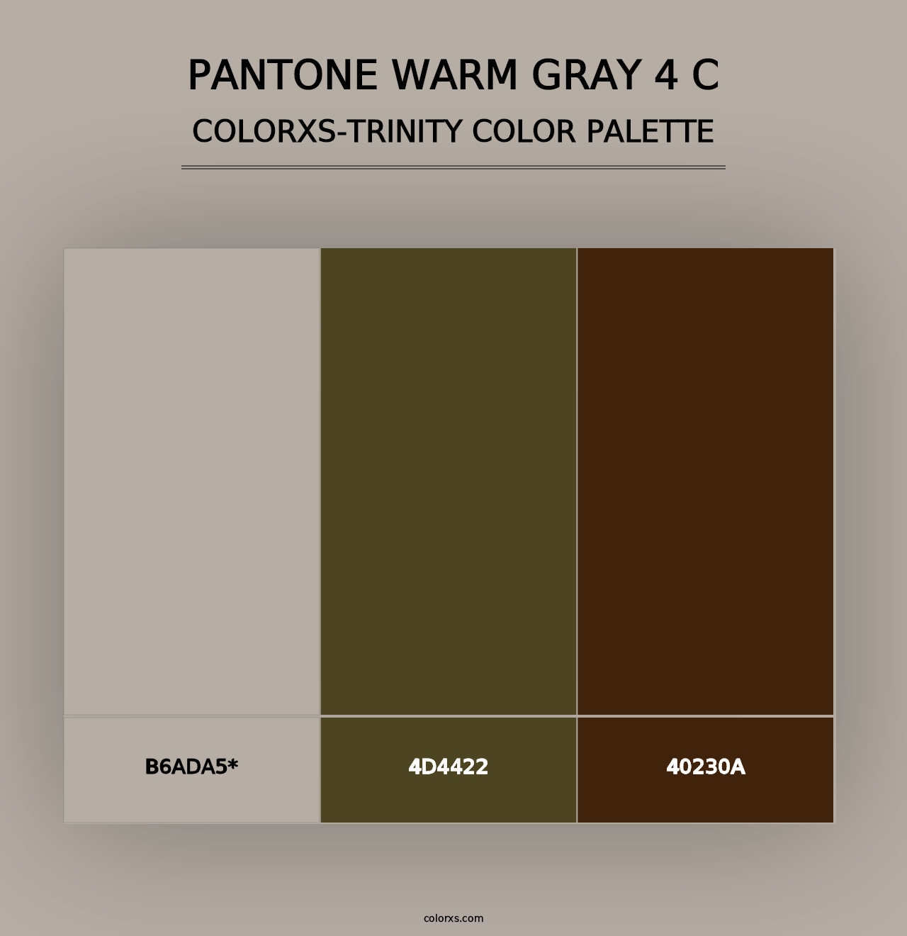 PANTONE Warm Gray 4 C - Colorxs Trinity Palette