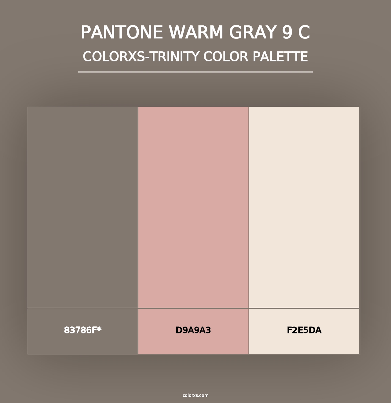 PANTONE Warm Gray 9 C - Colorxs Trinity Palette